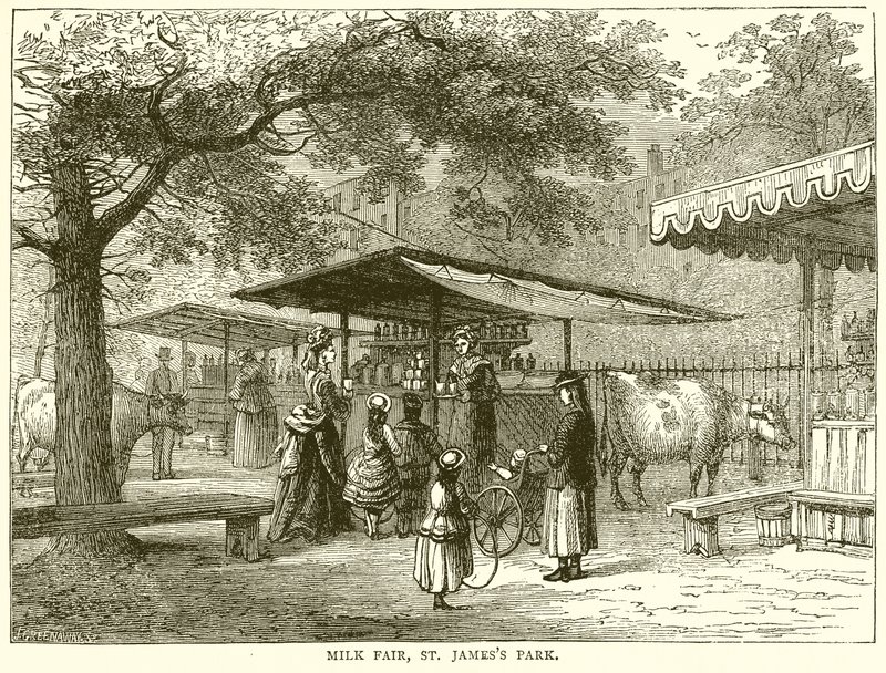 Fiera del latte, St. James