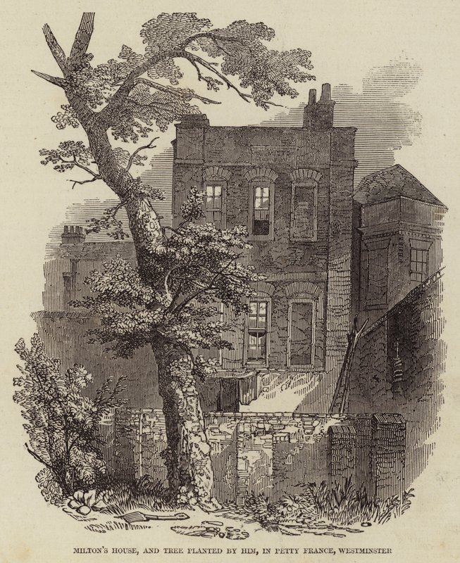 Casa di Milton e albero piantato da lui, in Petty France, Westminster (incisione) da English School