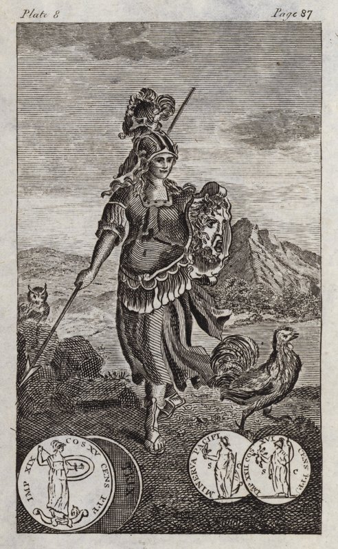 Minerva, o Pallade (incisione) da English School
