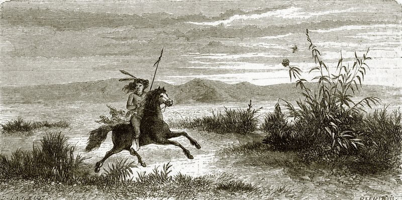 Cavaliere Mohave da English School