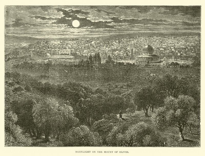 Chiaro di luna sul Monte degli Ulivi da English School
