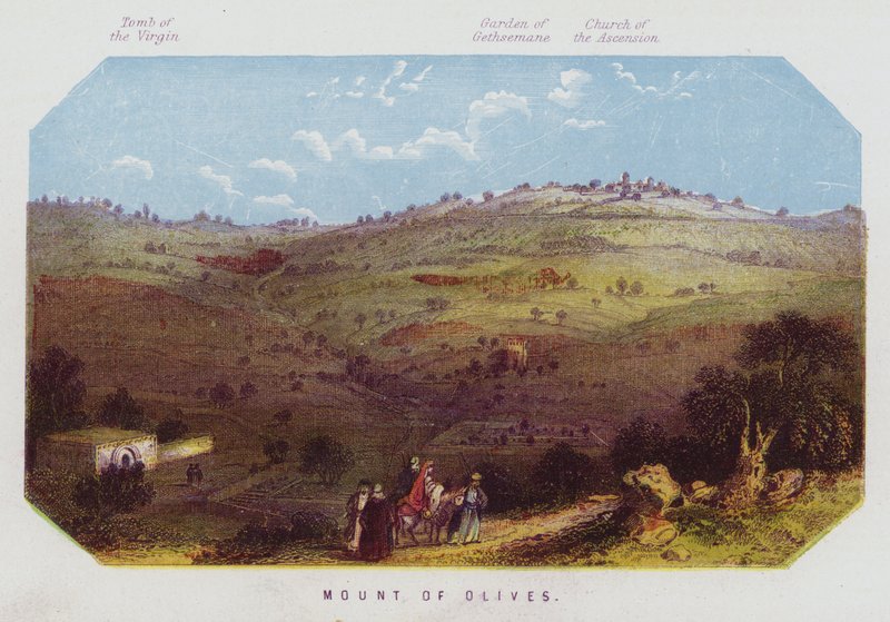 Monte degli Ulivi da English School