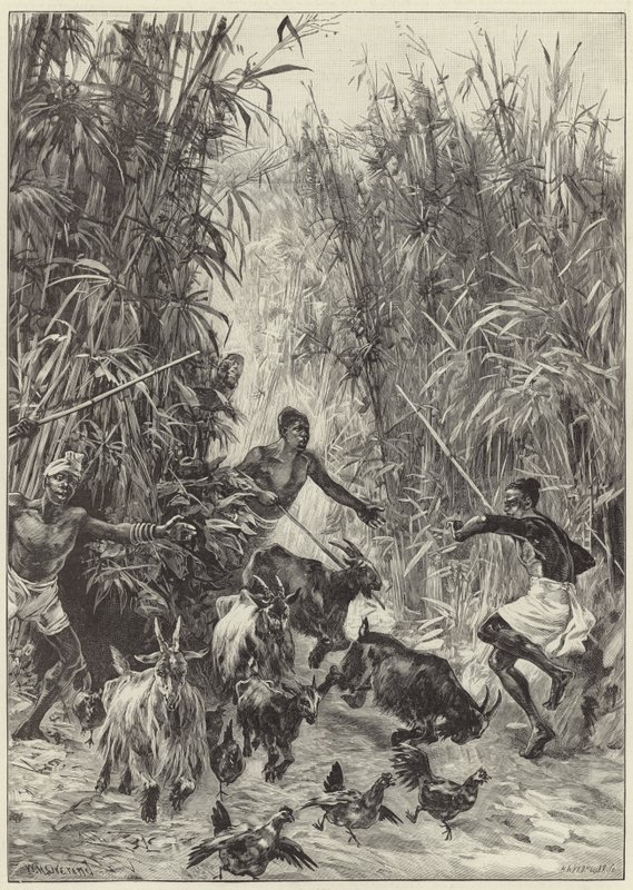 La spedizione di soccorso di Emin Pasha di Mr H. M. Stanley da English School