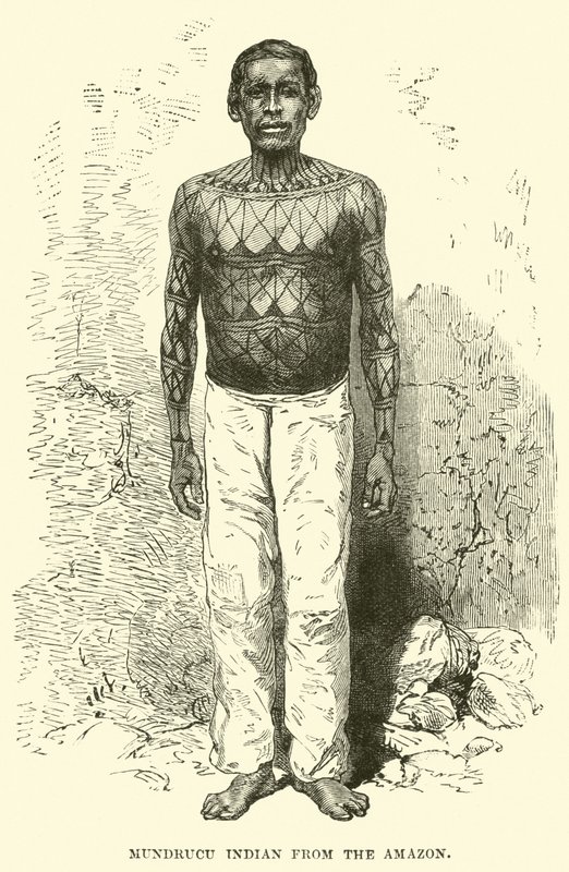 Indiano Mundrucu dell