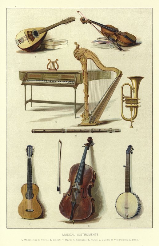 Strumenti musicali da English School