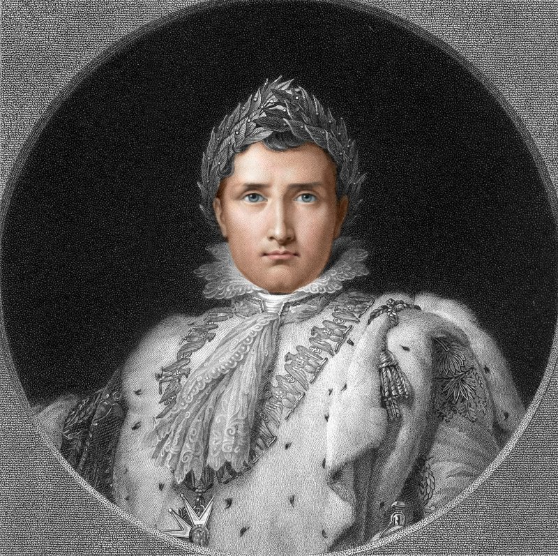 Napoleone da English School