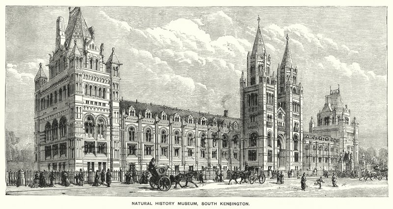 Museo di Storia Naturale, South Kensington da English School