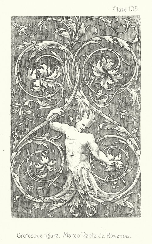 Natura in ornamento: Figura grottesca, Marco Dente da Ravenna da English School