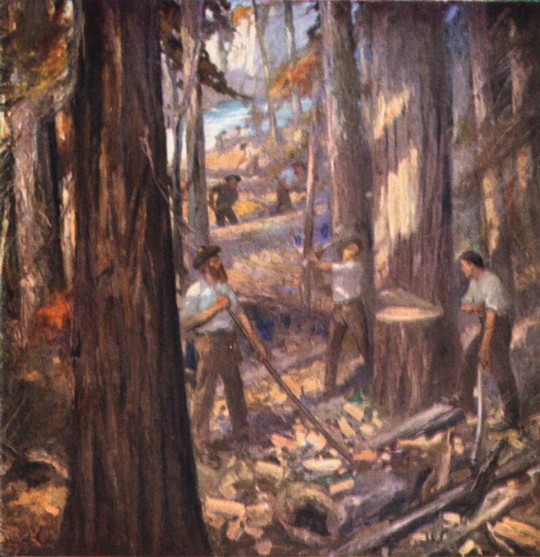 Nuovo Brunswick, William Davidson, il primo boscaiolo del Canada, taglia alberi per la Marina Britannica da English School