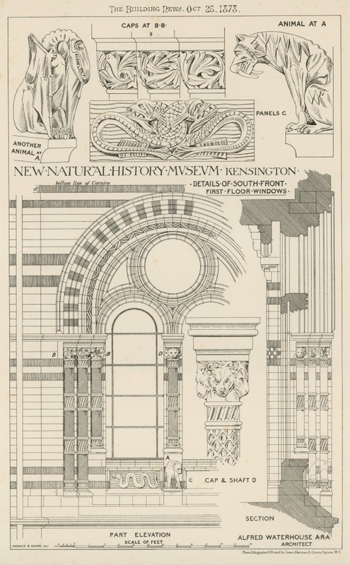 Nuovo Museo di Storia Naturale, South Kensington, Londra da English School