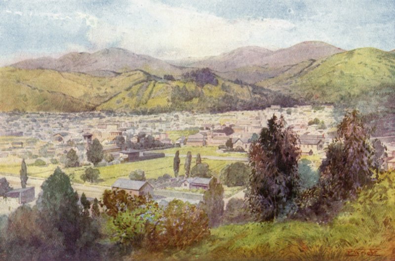 Nuova Zelanda: Nelson (litografia a colori) da English School
