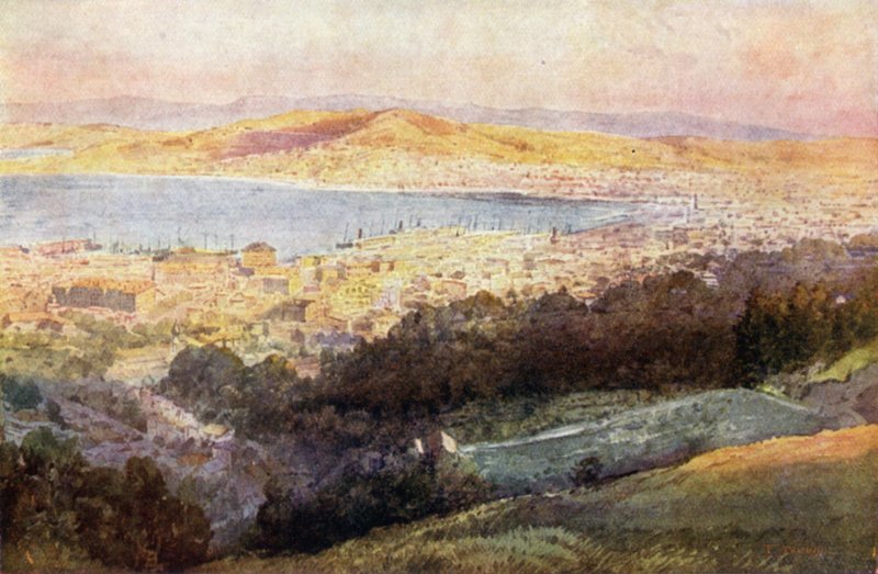 Nuova Zelanda: Wellington (litografia a colori) da English School