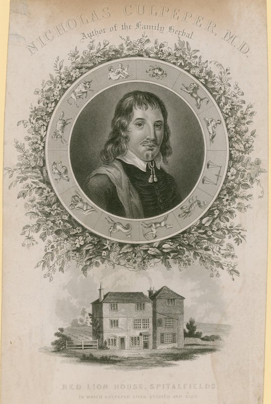 Nicholas Culpepper, MD da English School