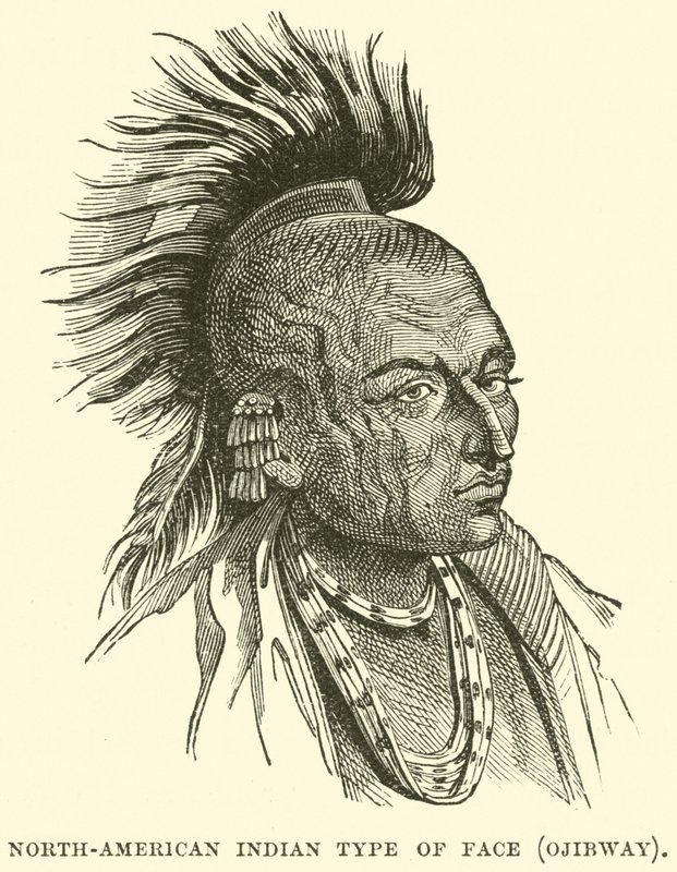 Tipo di volto indiano nordamericano, Ojibway da English School