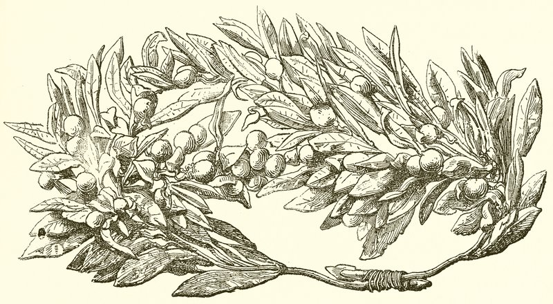 Corona d