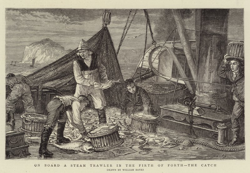 A bordo di un peschereccio a vapore nel Firth of Forth, la cattura da English School