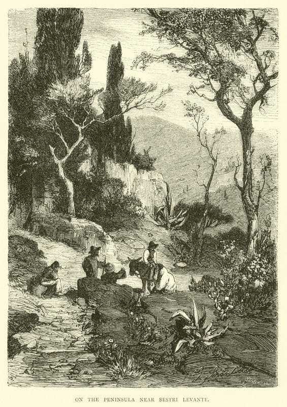 Sulla penisola vicino a Sestri Levante da English School
