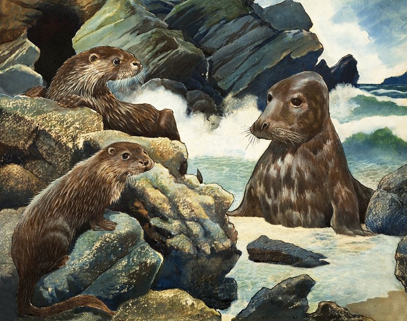 Lontra e tricheco da English School