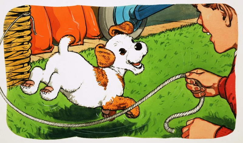 Paddy Paws da English School