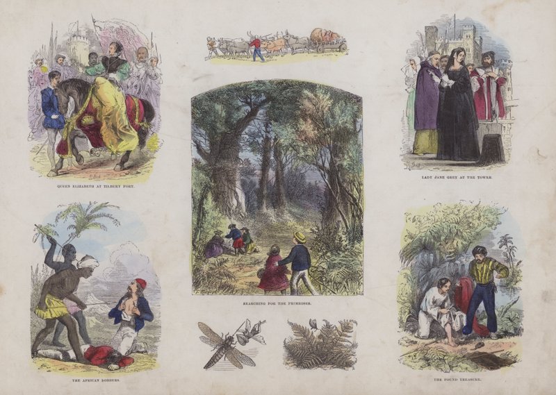 Pagina dal Libro delle Immagini Attraenti (incisione colorata) da English School