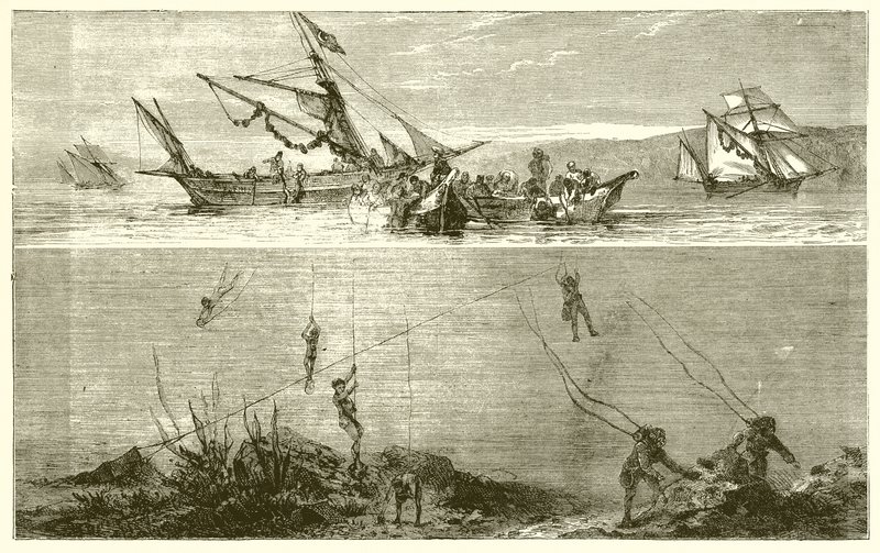 Pesca delle Perle da English School