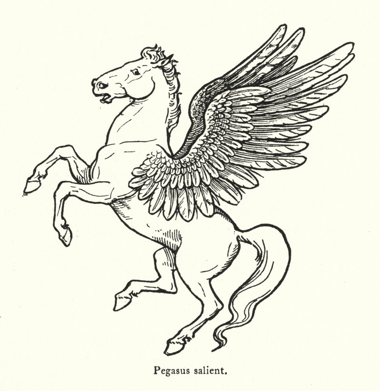 Pegaso rampante da English School