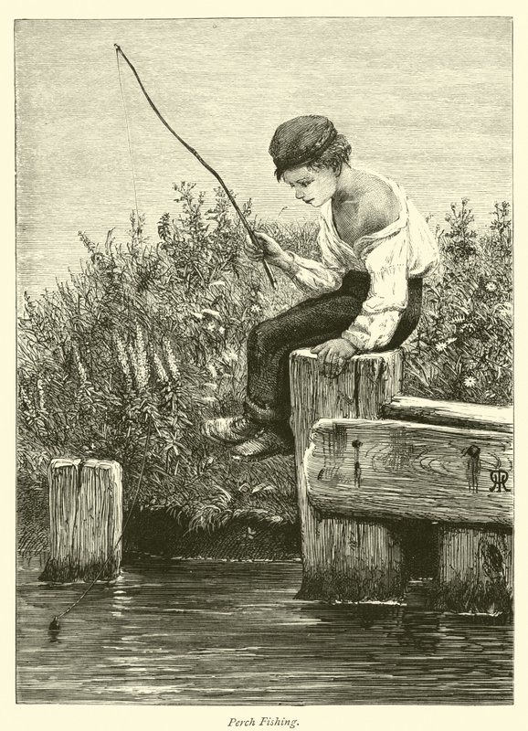 Pesca al persico da English School