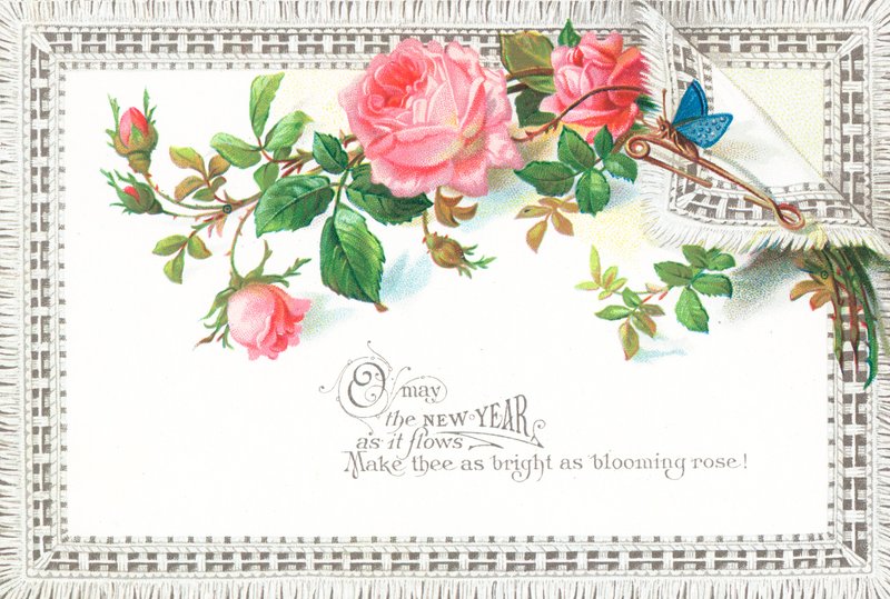 Rose rosa e farfalla blu da English School