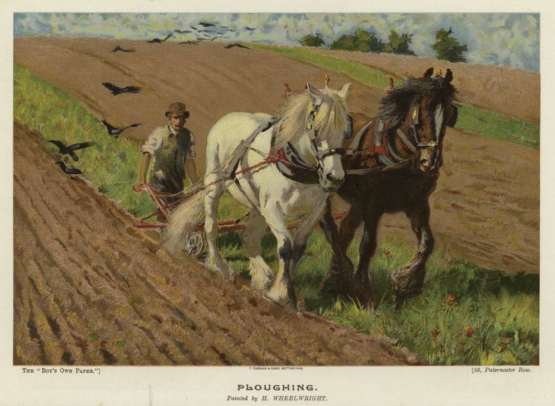 Aratura di H Wheelwright da English School