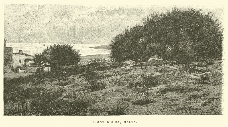 Punto Koura, Malta da English School
