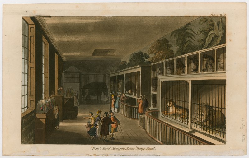 Politos Royal Menagerie, Exeter Change, Strand da English School