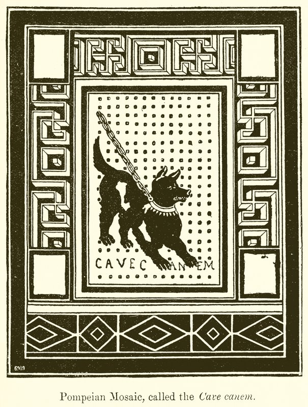 Mosaico pompeiano, chiamato il Cave Canem da English School