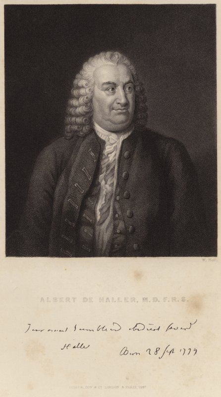 Ritratto di Albert de Haller da English School