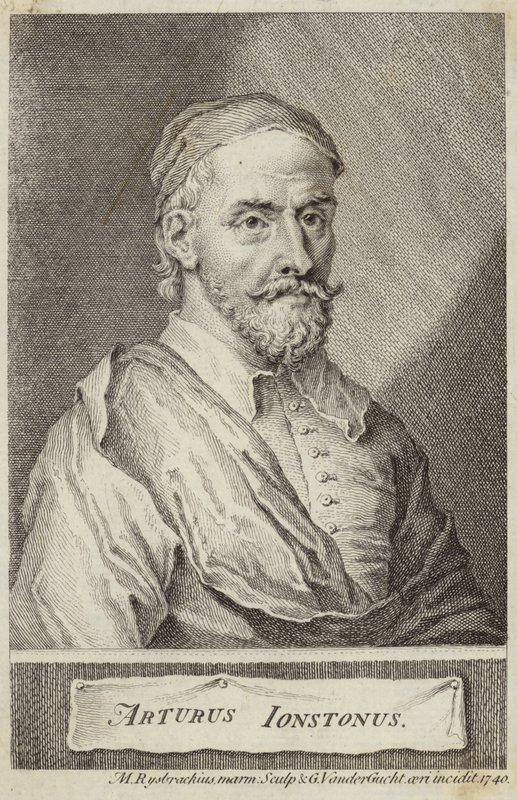 Ritratto di Arthur Johnston da English School