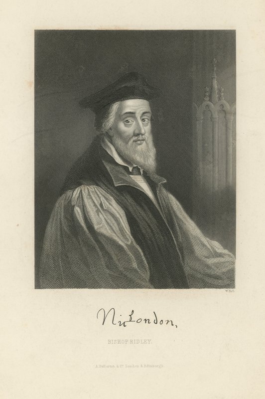 Ritratto di Nicholas Ridley da English School