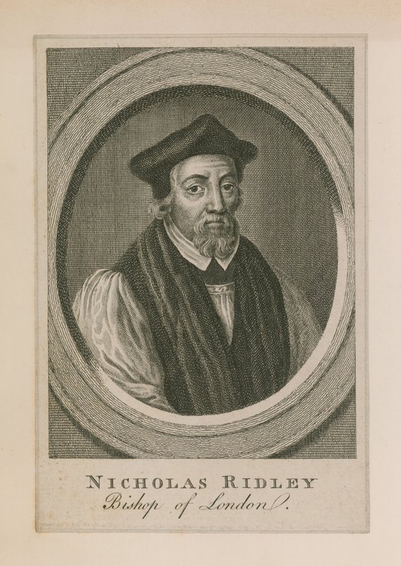 Ritratto di Nicholas Ridley da English School