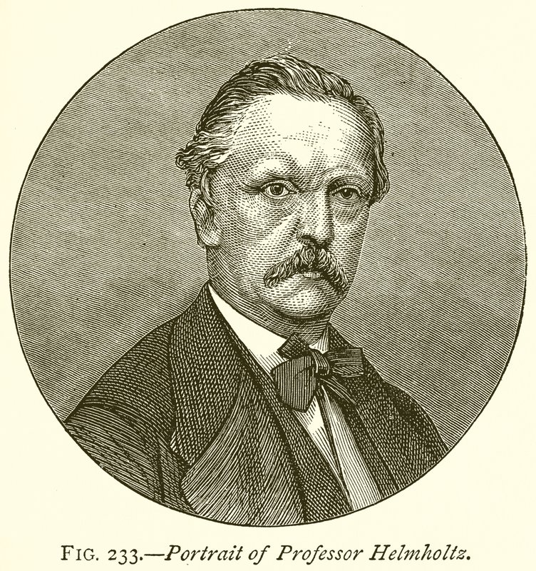 Ritratto del Professor Helmholtz da English School