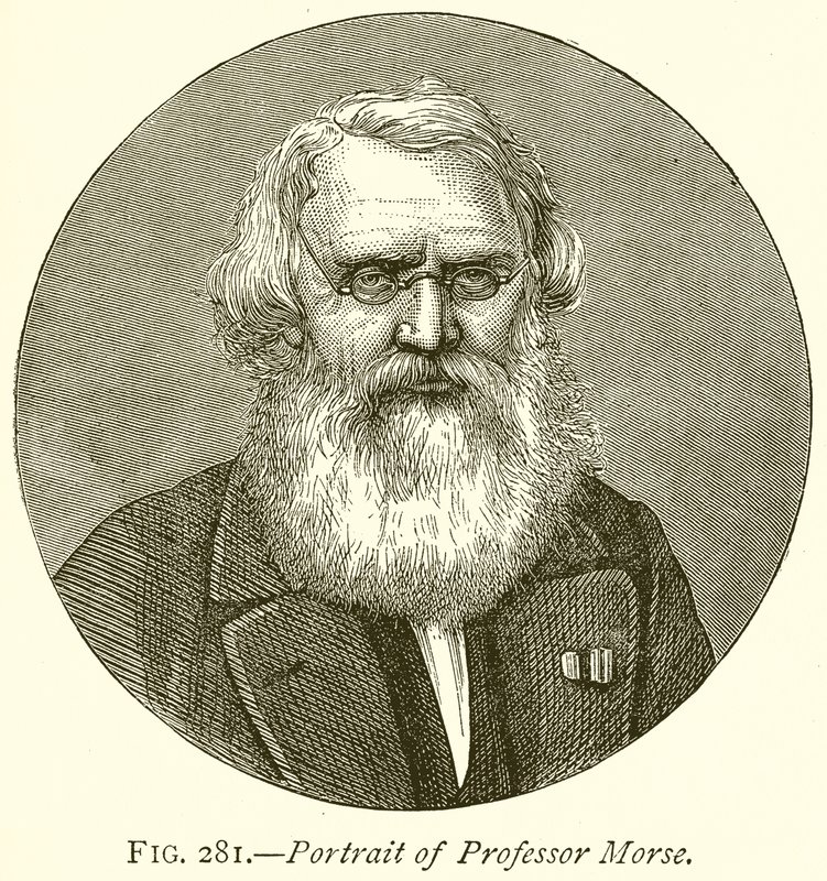 Ritratto del professor Morse da English School