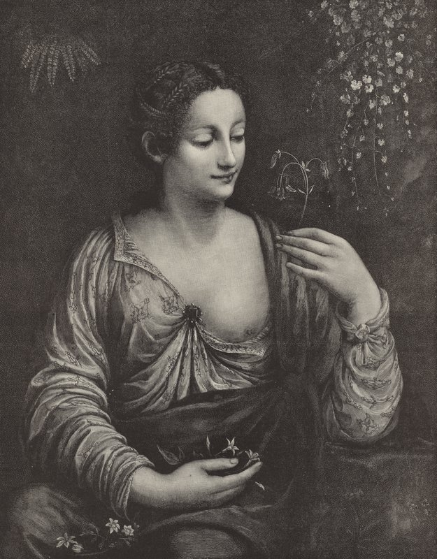 Ritratto di una giovane donna da English School