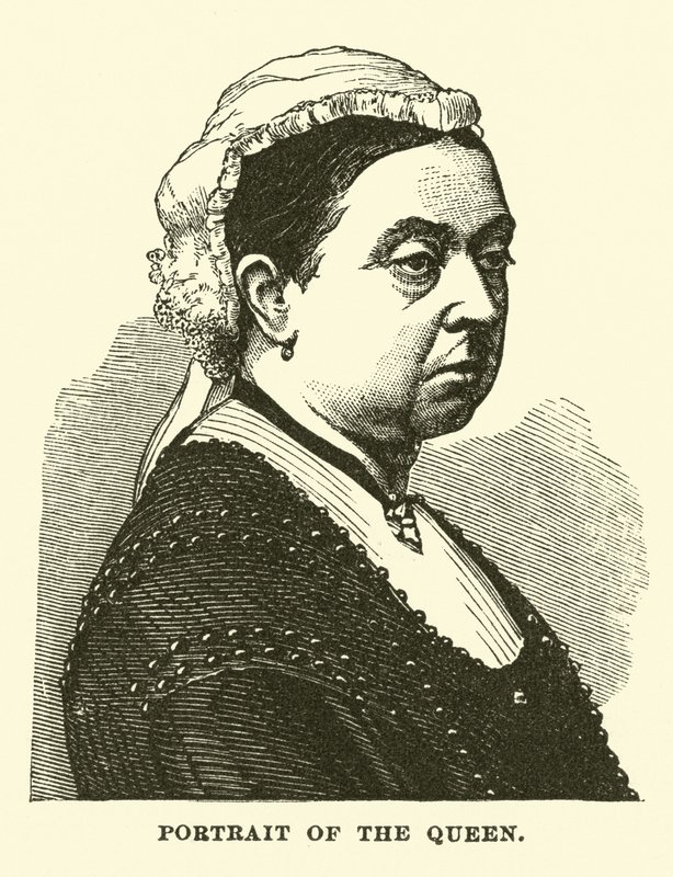 Ritratto della Regina da English School