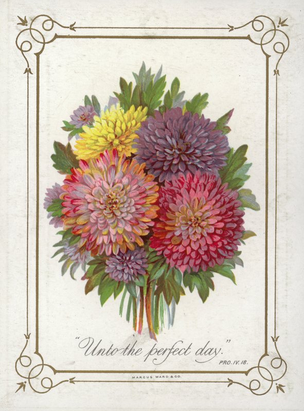 Mazzo di fiori da English School