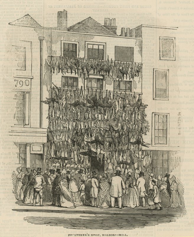 Negozio di pollame su Holborn Hill da English School