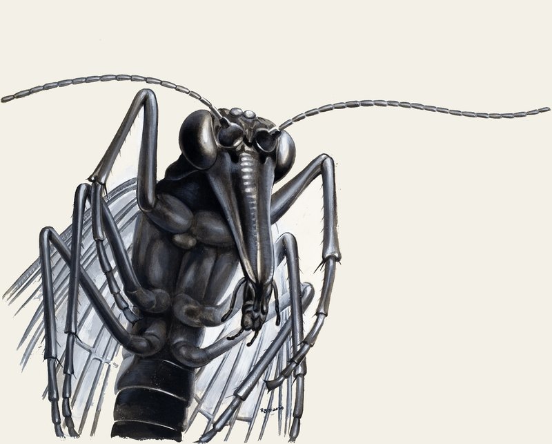 Predatori del passato da English School
