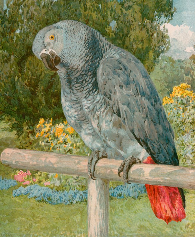 Pretty Polly da English School