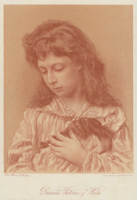 Principessa Vittoria del Galles (cromolitografia) da English School