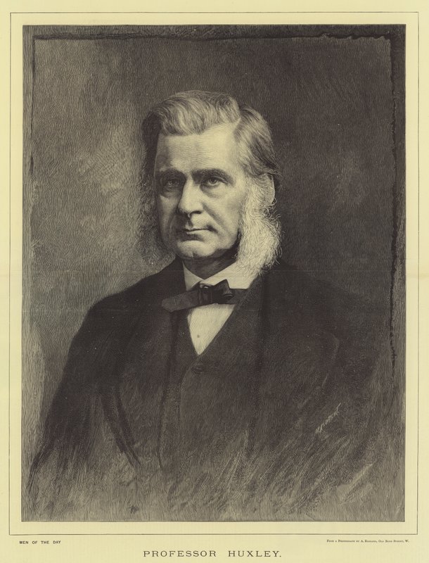 Professor Huxley da English School