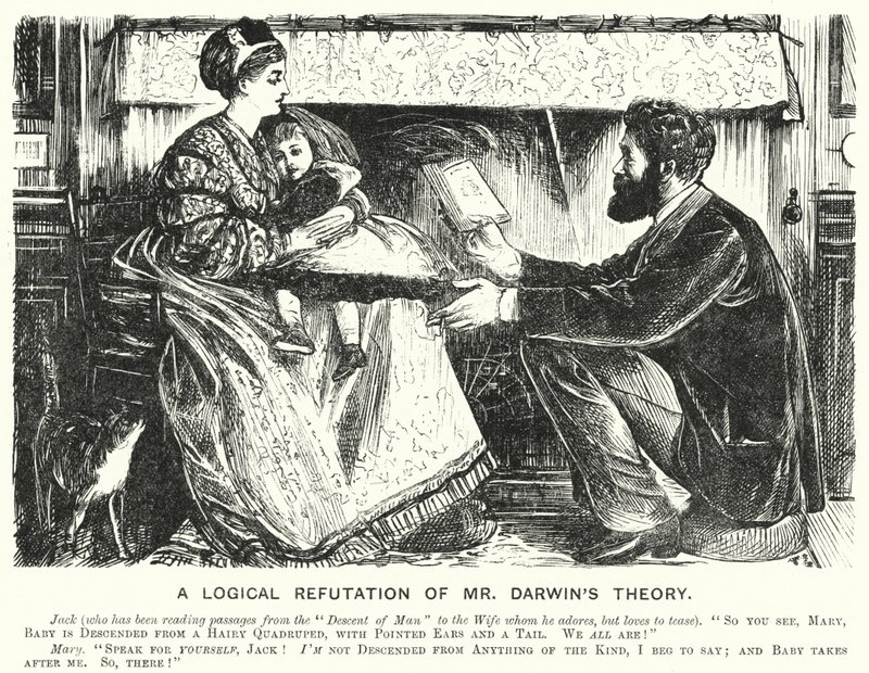 Cartone animato di Punch: Una confutazione logica della teoria di Darwin da English School