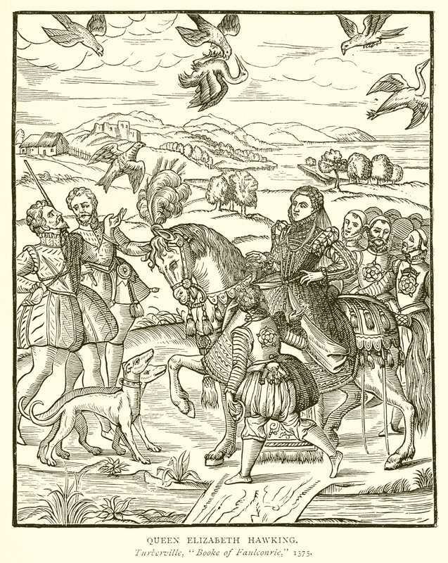 La Regina Elisabetta a Caccia con il Falco da English School