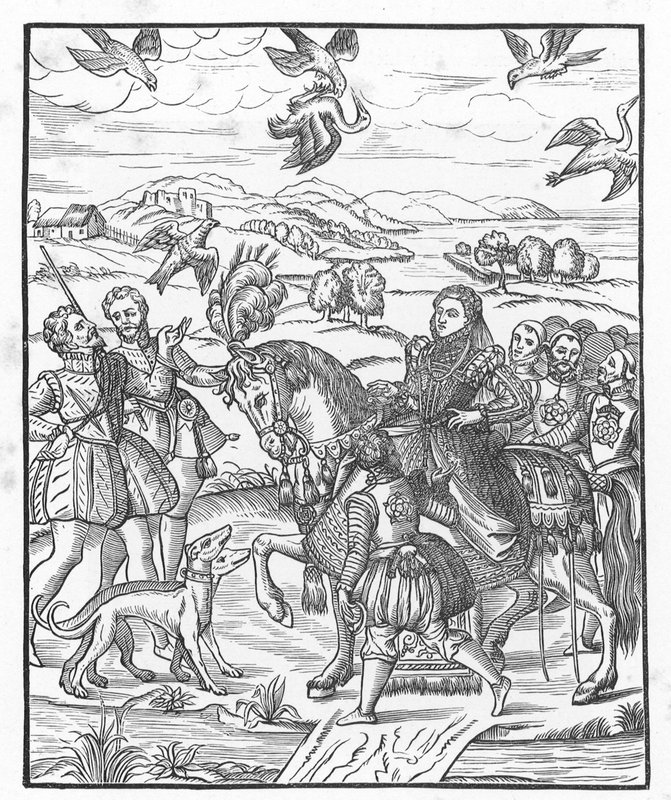 La regina Elisabetta a caccia con il falco da English School