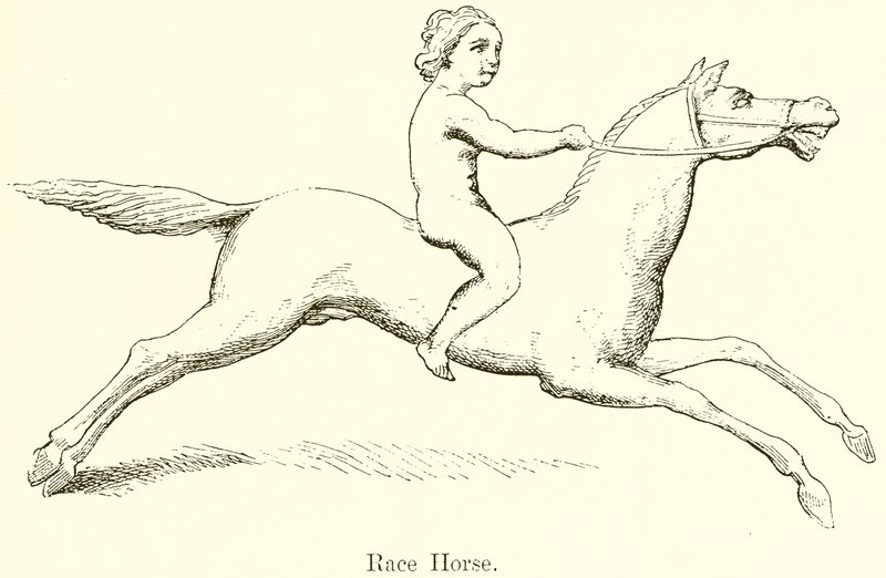 Cavallo da Corsa da English School